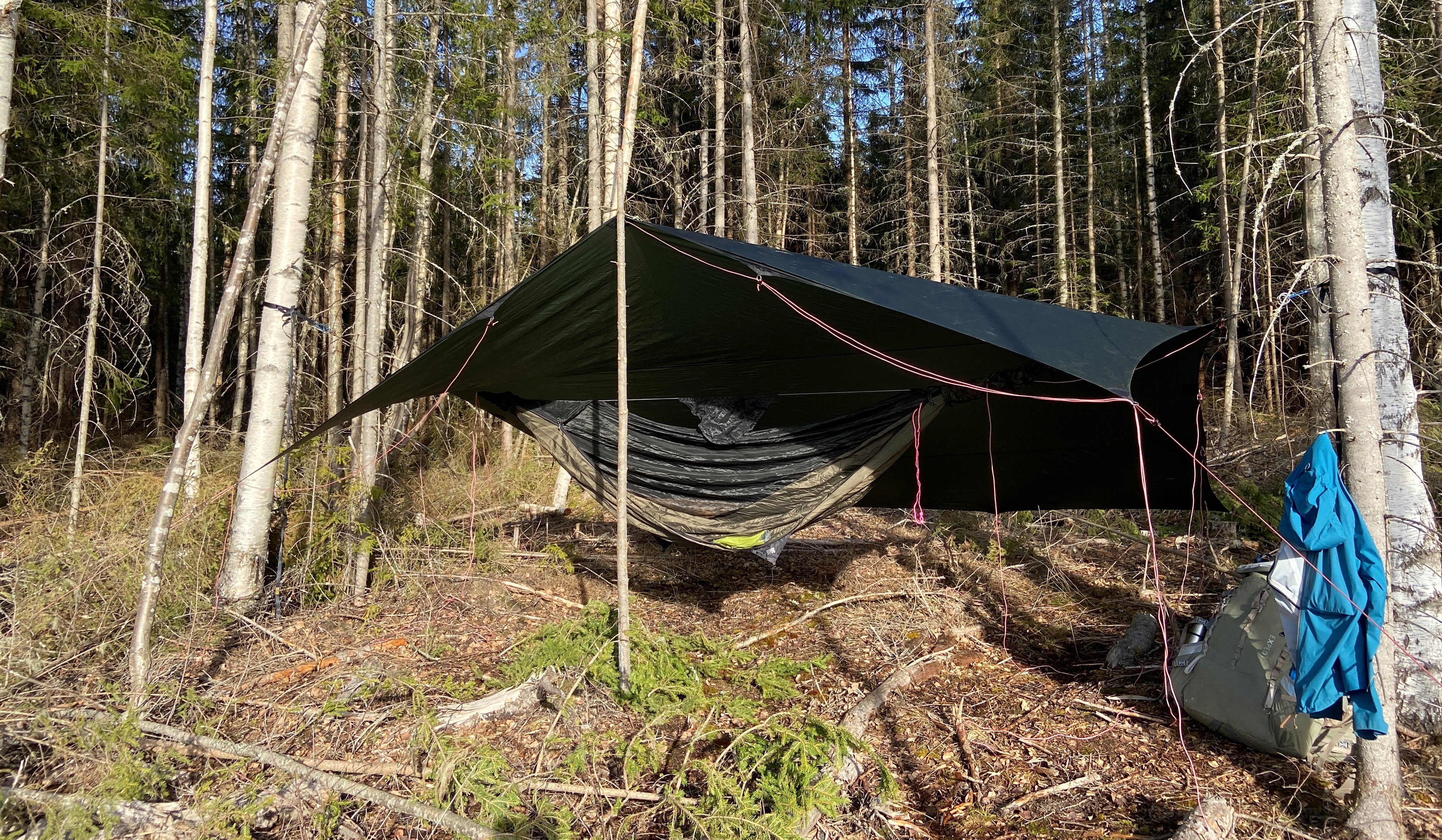 bild på hammocken